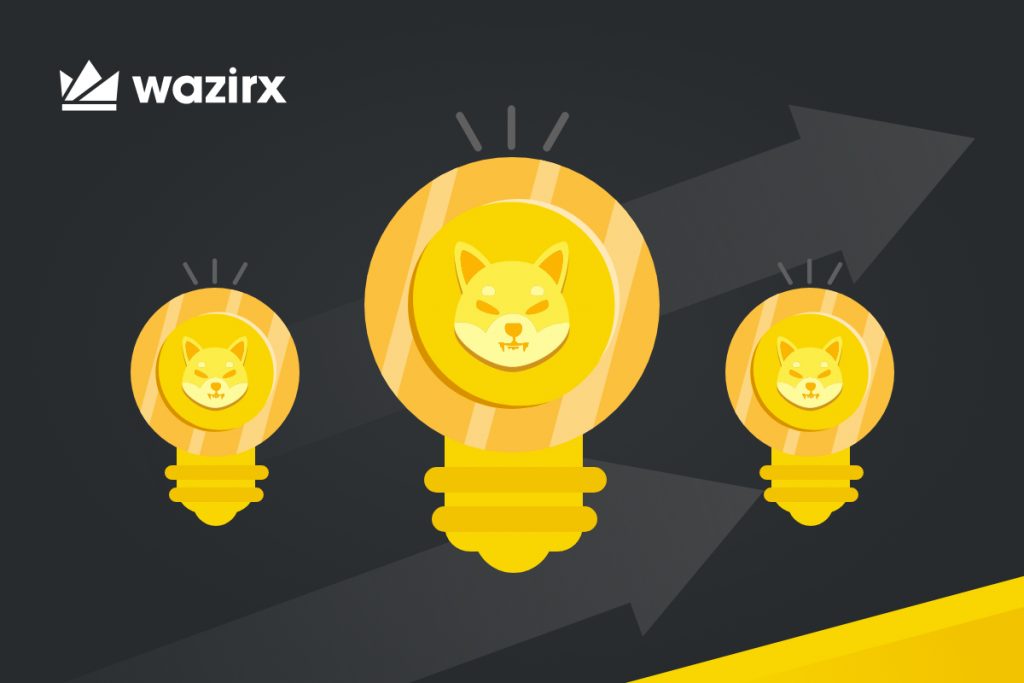 Shiba Inu Coin Investment in India: 5 Tips to Remember Before Investing